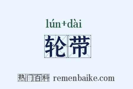 轮带是什么意思的图片